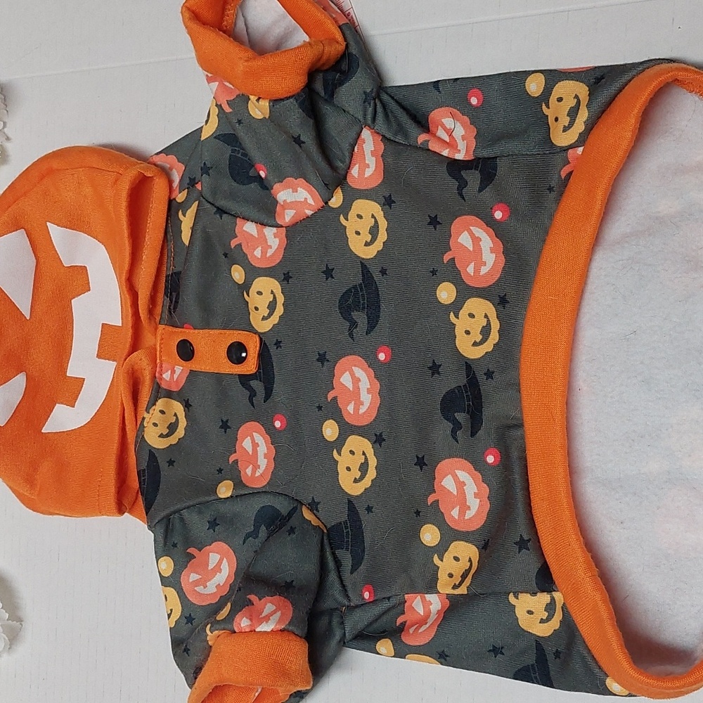 Halloween costume for your pet